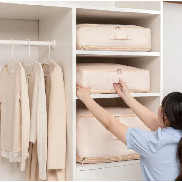 STORAGEBAG – Összecsukható szervezőtáska szekrényekhez slider